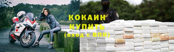 спайс Пересвет