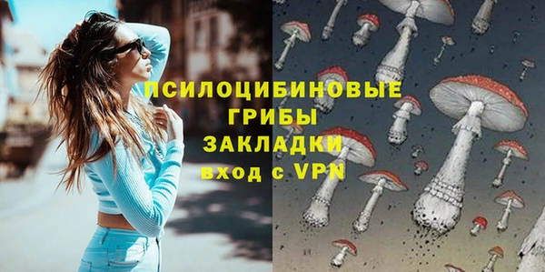 прущая мука Переславль-Залесский