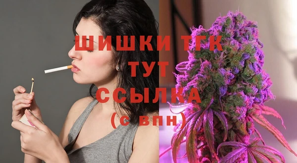 спайс Пересвет