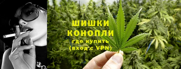 мдпв Осташков