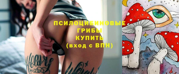 мдпв Осташков