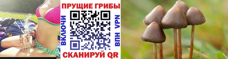 Галлюциногенные грибы ЛСД даркнет сайт Нахабино